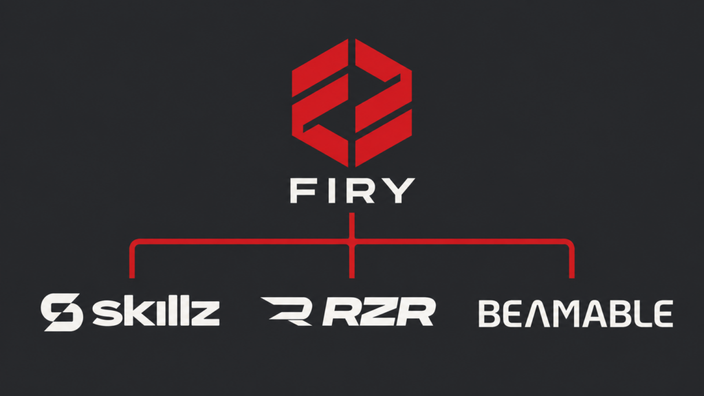 How FIRY Works as a Technology Holding Company